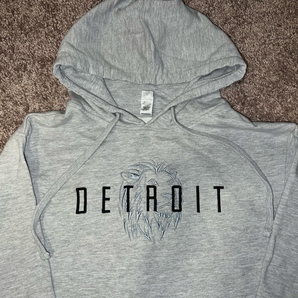 Men’s Detroit Lions Embroidered Hoodie - Picture 3 of 4